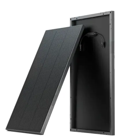 Panneau solaire rigide 100 W EcoFlow (2 pièces)